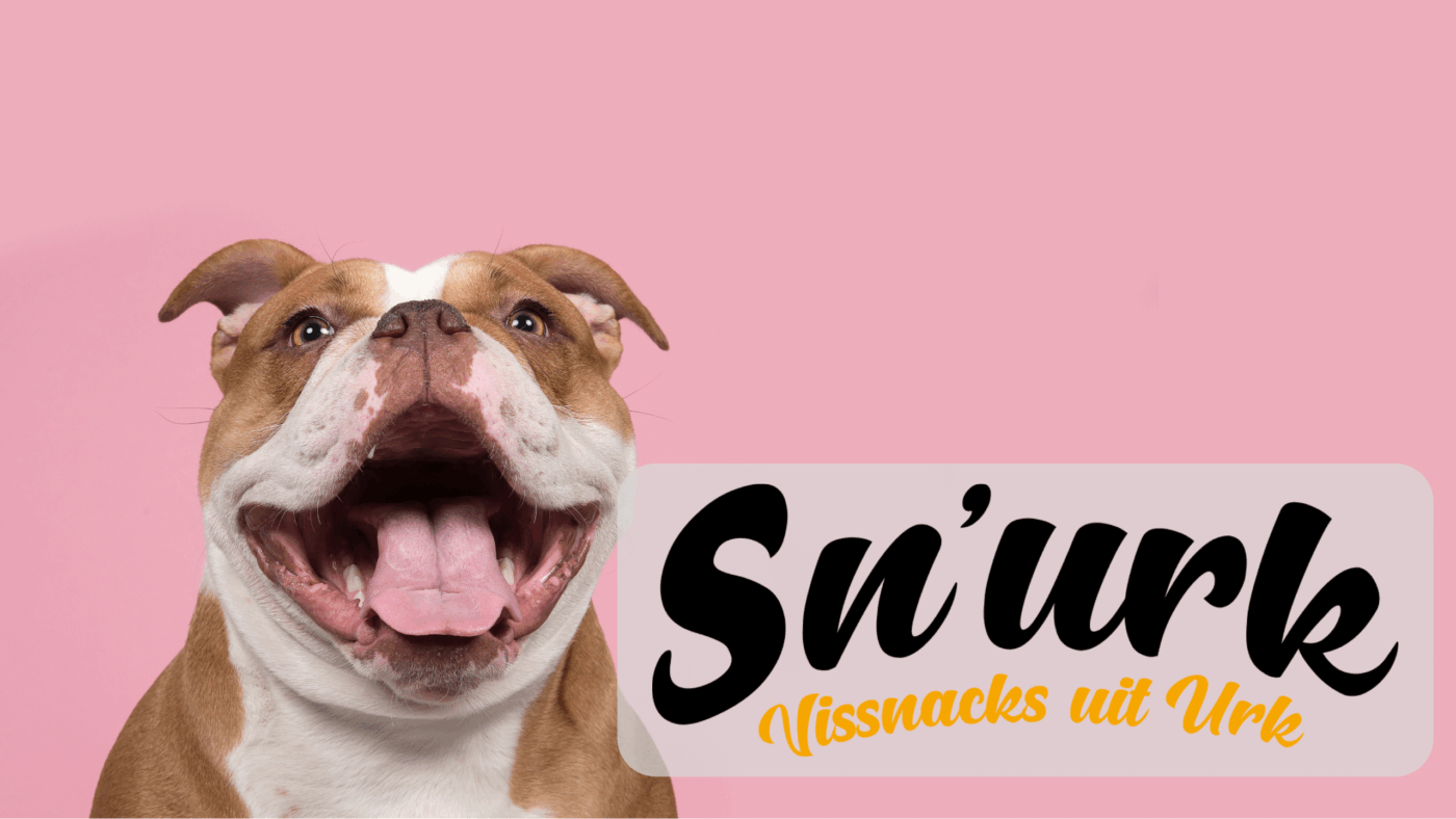 Blije hond met gezonde Sn’urk hondensnacks