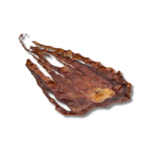 inktvis octopus honden snack